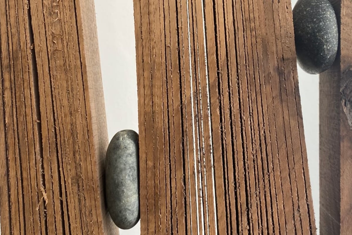 Alternating Currents: Austin Thomas and Nick Polansky