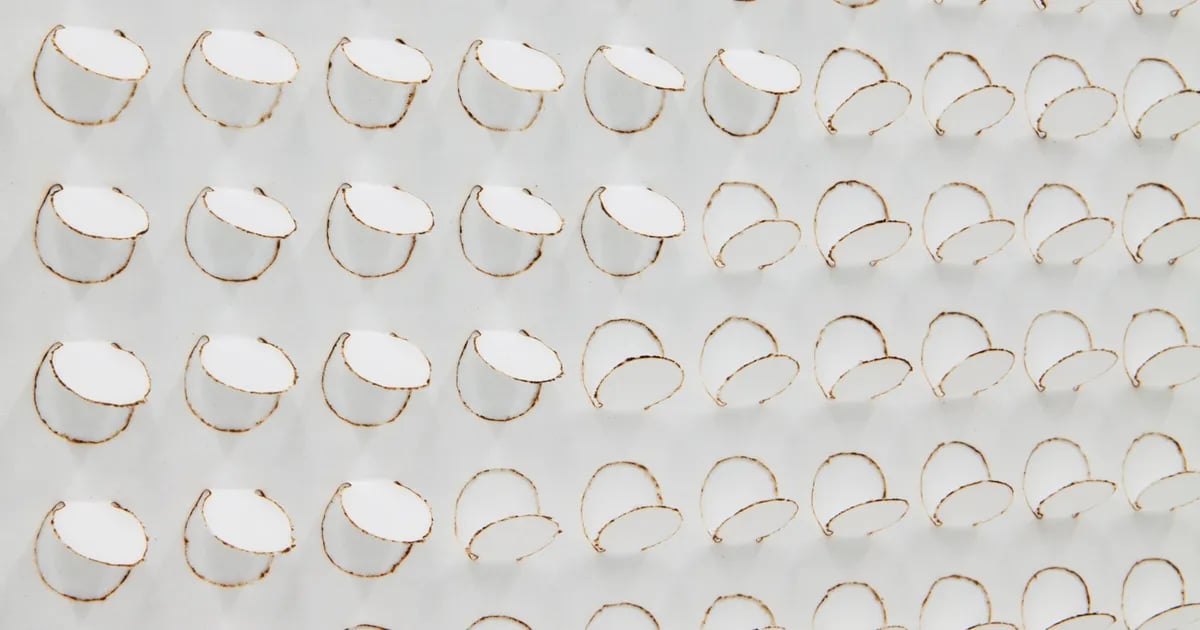 Zaida Oenema: Atrium Showcase