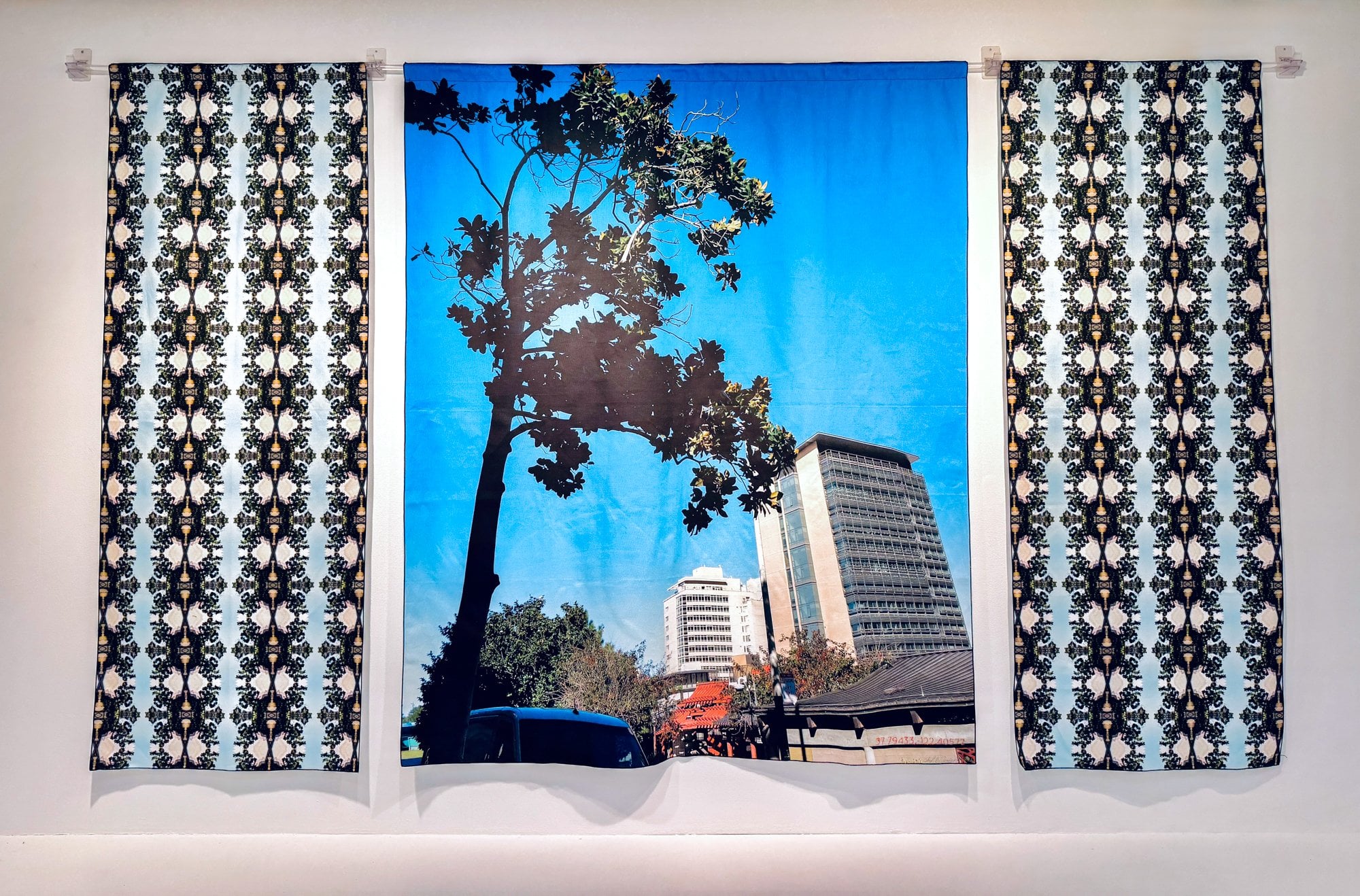 Cheryl Derricotte: A Consideration of Trees