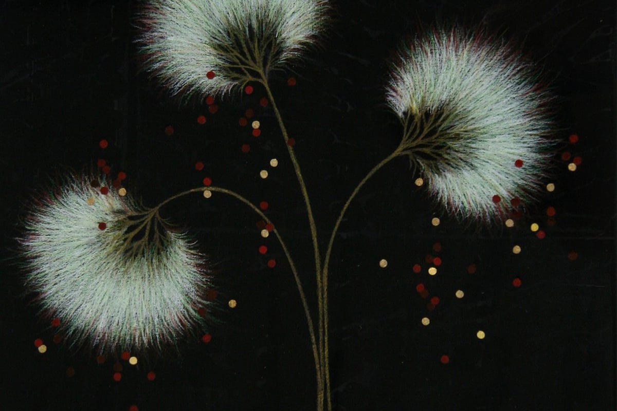 "Echoes" by Seiko Tachibana