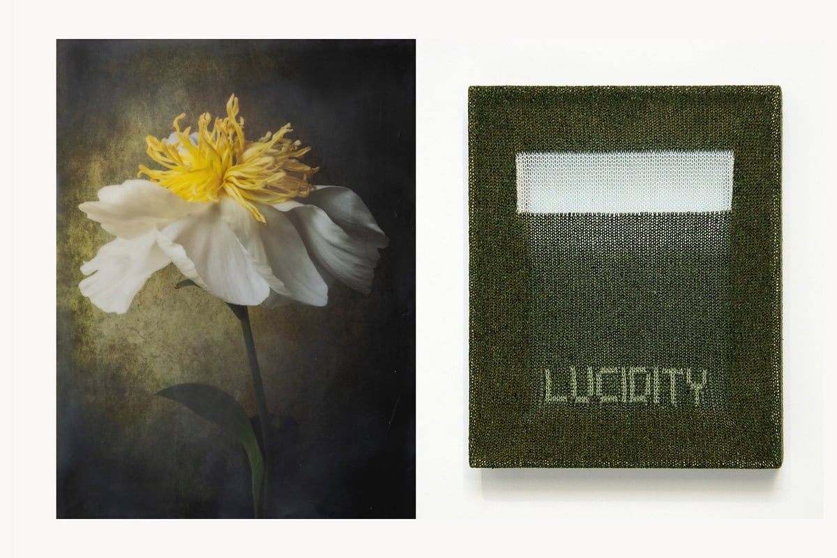 "Fiber & Light" by Brigitte Carnochan and Patrick Carroll