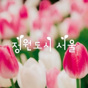 Ihwa Mural Village (낙산공원 공공미술)