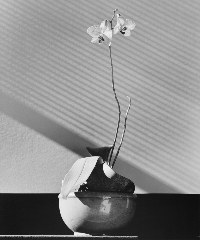 Robert Mapplethorpe - The Poetics of Form 形태의 시학