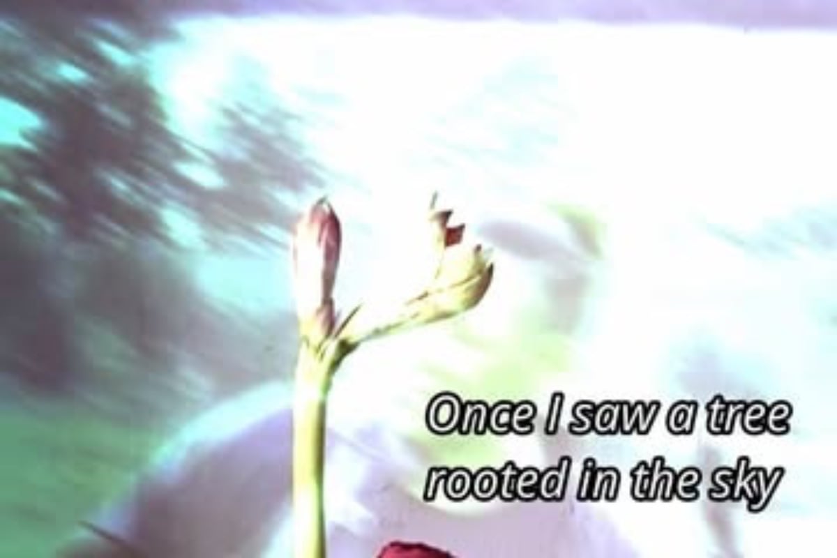 Russia: The tree is rooted in the sky - Image 1