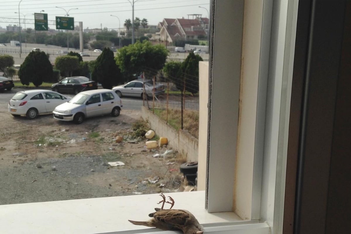 Cyprus: It rests to the bones