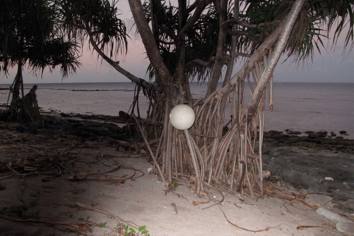 Portugal: RedSkyFalls